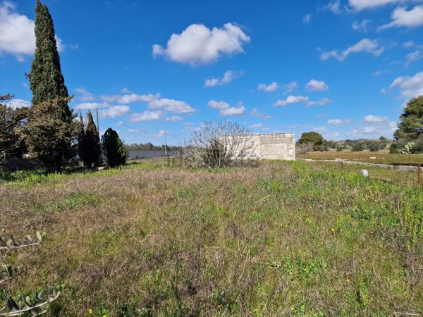 terreno agricolo in vendita a Melpignano