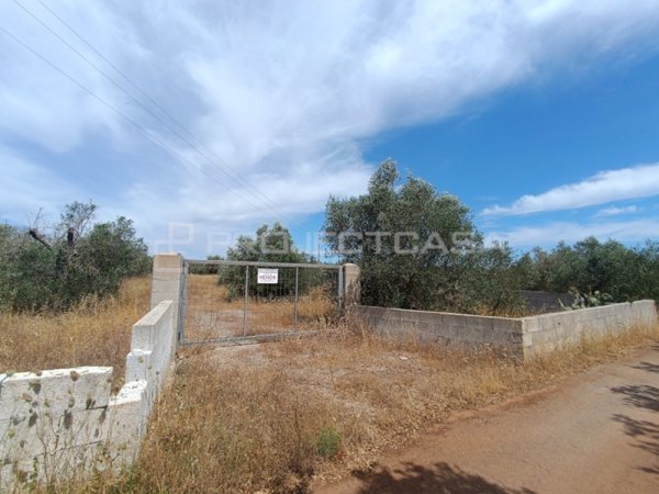 terreno agricolo in vendita a Melpignano
