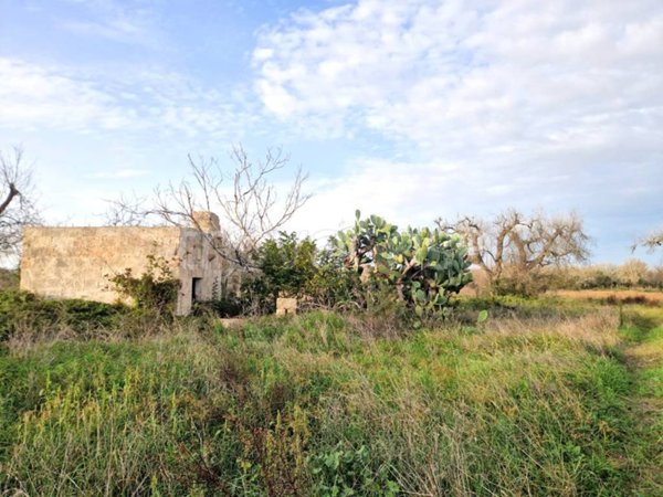 terreno agricolo in vendita a Miggiano