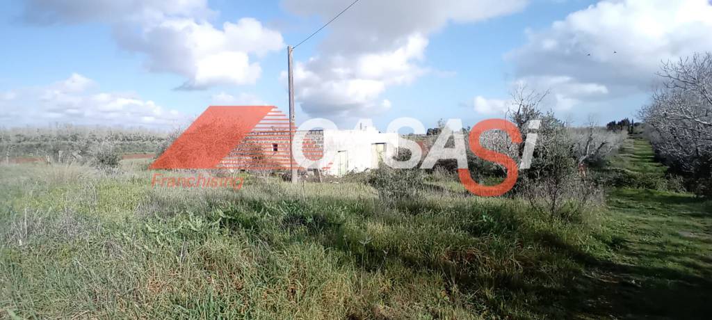 terreno agricolo in vendita a Minervino di Lecce