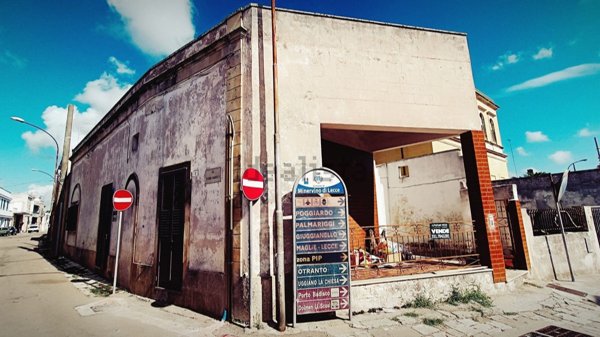 esavano in vendita a Minervino di Lecce