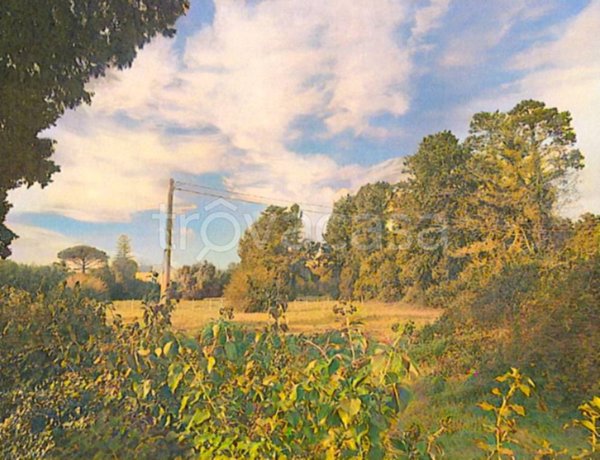 terreno agricolo in vendita a Minervino di Lecce