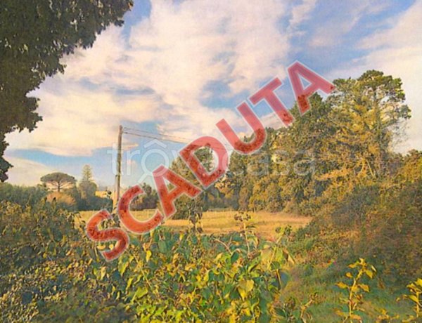 terreno agricolo in vendita a Minervino di Lecce