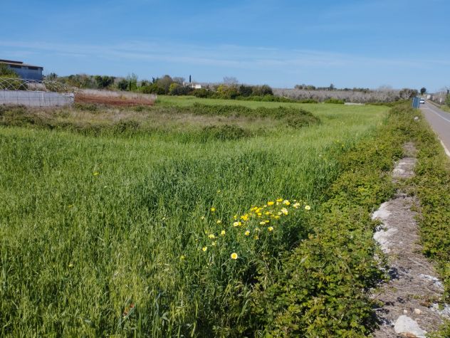 terreno agricolo in vendita a Minervino di Lecce