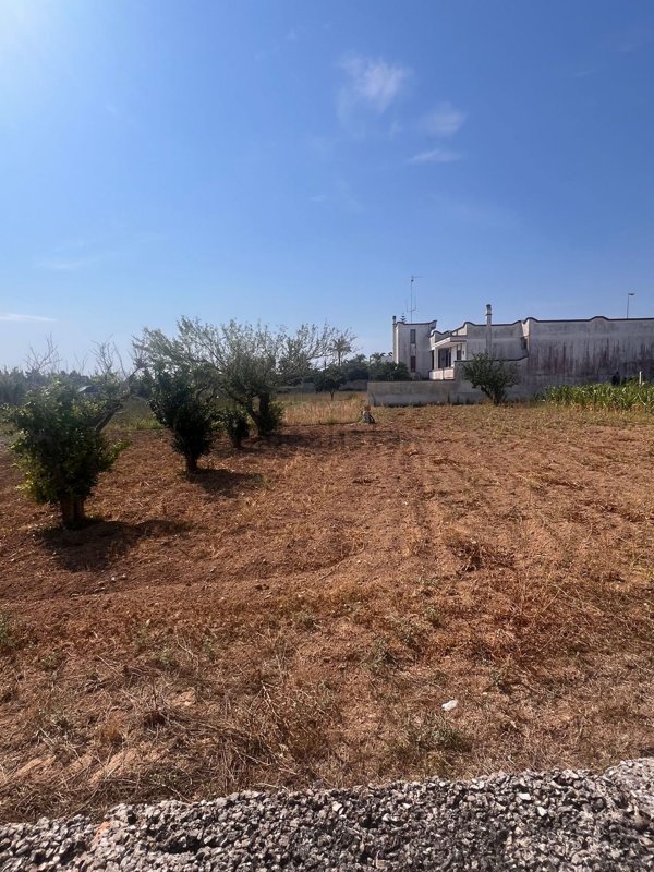 terreno edificabile in vendita a Minervino di Lecce