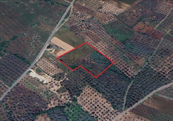 terreno agricolo in vendita a Minervino di Lecce