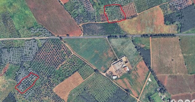 terreno agricolo in vendita a Minervino di Lecce