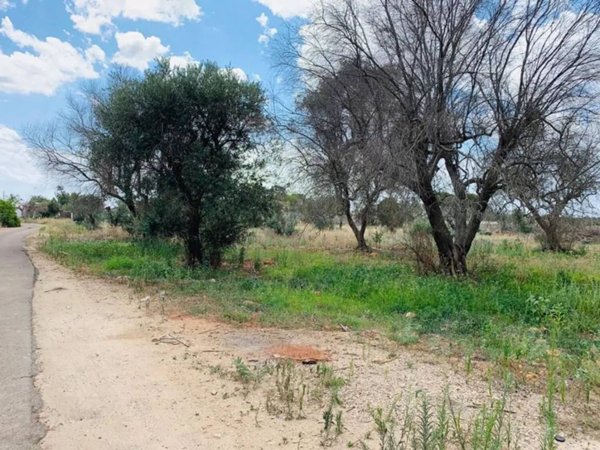 terreno agricolo in vendita a Monteroni di Lecce