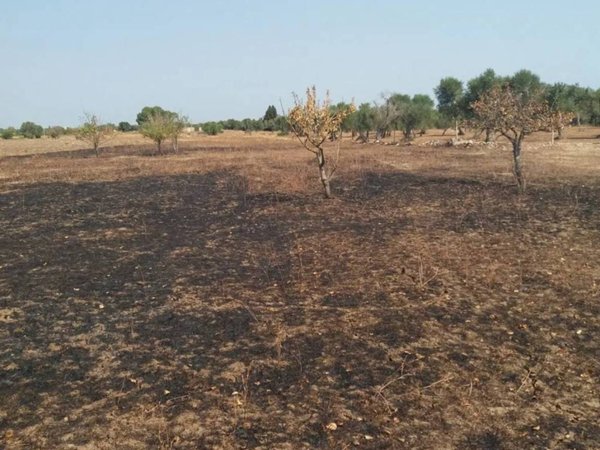 terreno agricolo in vendita a Monteroni di Lecce