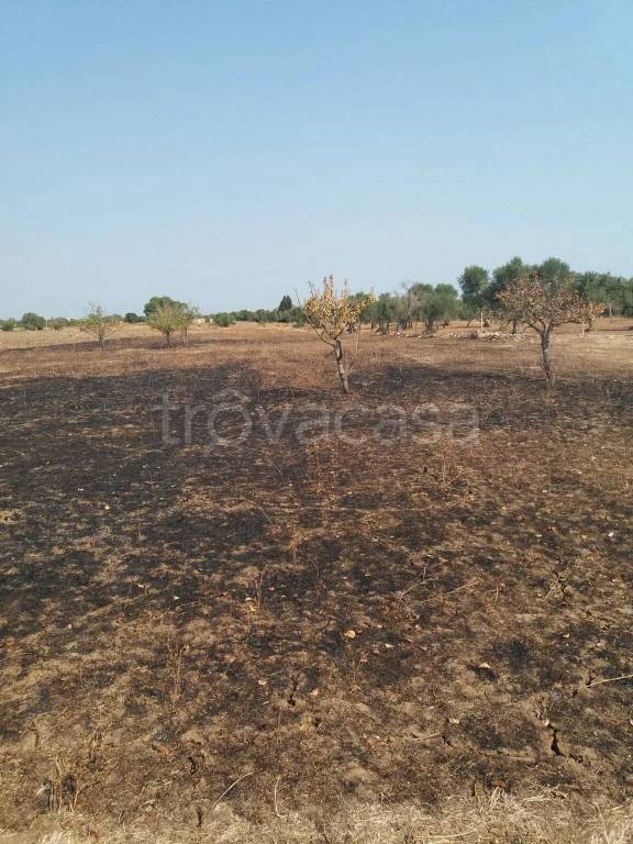 terreno agricolo in vendita a Monteroni di Lecce