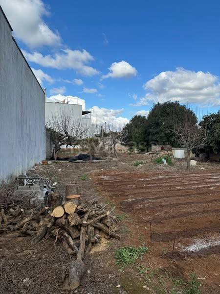 terreno agricolo in vendita a Monteroni di Lecce