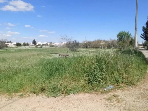 terreno agricolo in vendita a Monteroni di Lecce