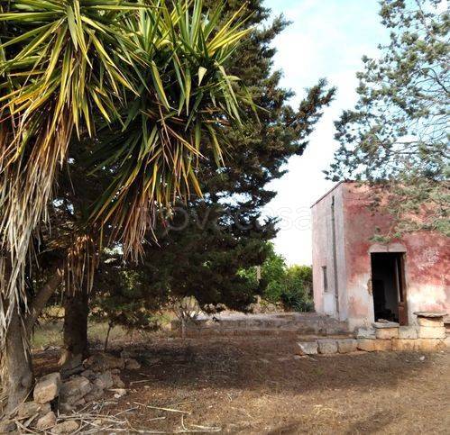 immagine annuncio 0 di 15