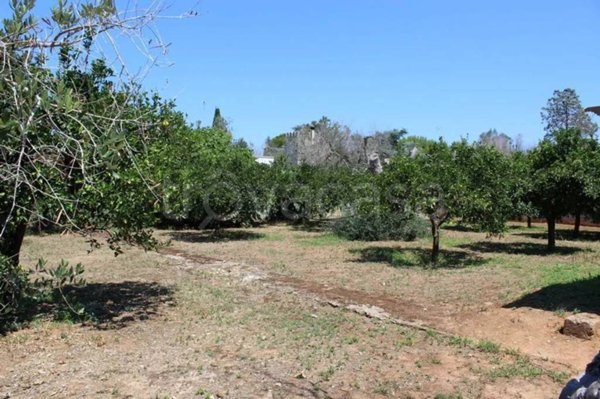 terreno agricolo in vendita a Monteroni di Lecce