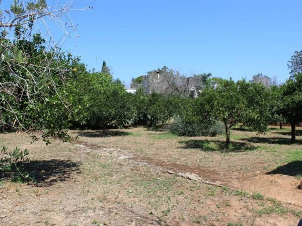 terreno agricolo in vendita a Monteroni di Lecce