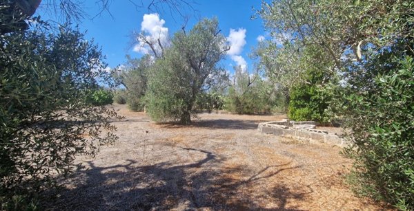 terreno agricolo in vendita a Monteroni di Lecce