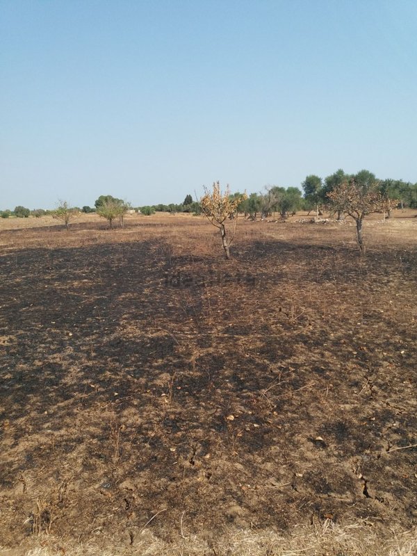 terreno agricolo in vendita a Monteroni di Lecce