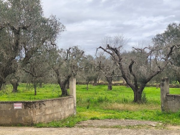 terreno agricolo in vendita a Monteroni di Lecce