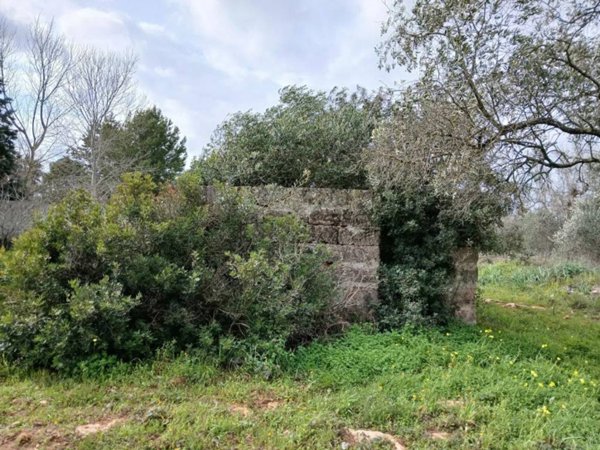 terreno agricolo in vendita a Monteroni di Lecce