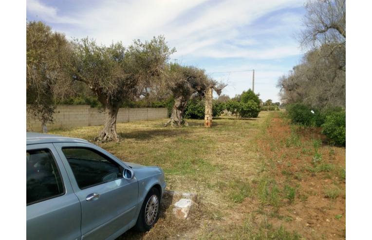 terreno agricolo in vendita a Monteroni di Lecce