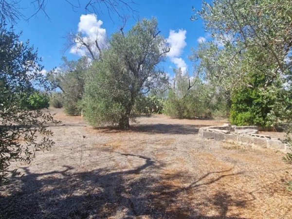 terreno agricolo in vendita a Monteroni di Lecce