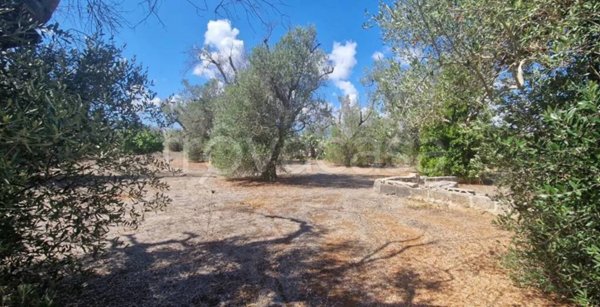 terreno agricolo in vendita a Monteroni di Lecce