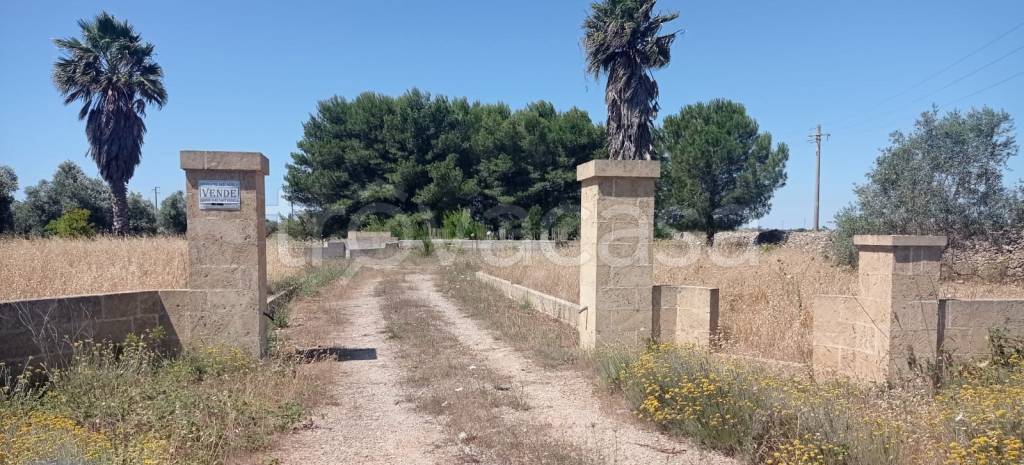 casa indipendente in vendita a Montesano Salentino