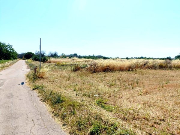 terreno agricolo in vendita a Montesano Salentino