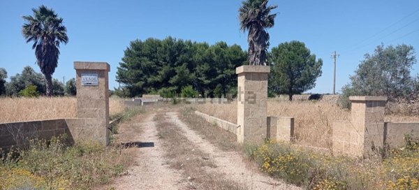 appartamento in vendita a Montesano Salentino