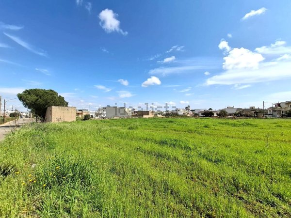terreno agricolo in vendita a Montesano Salentino
