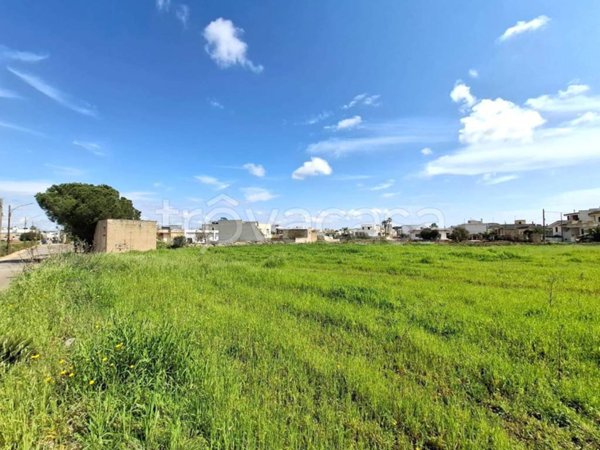 terreno agricolo in vendita a Montesano Salentino