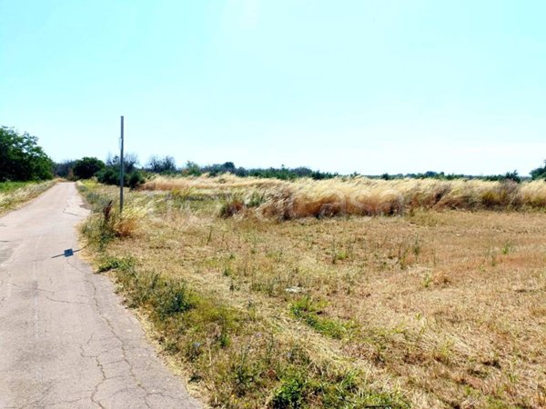 terreno in vendita a Montesano Salentino