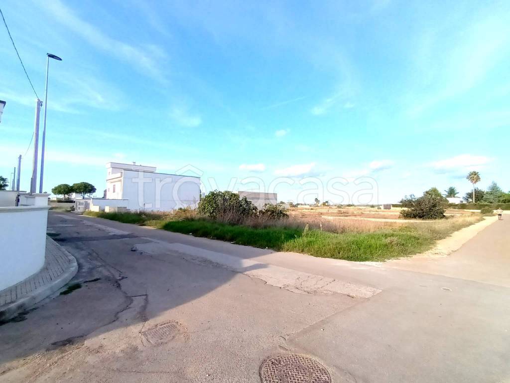 terreno in vendita a Montesano Salentino