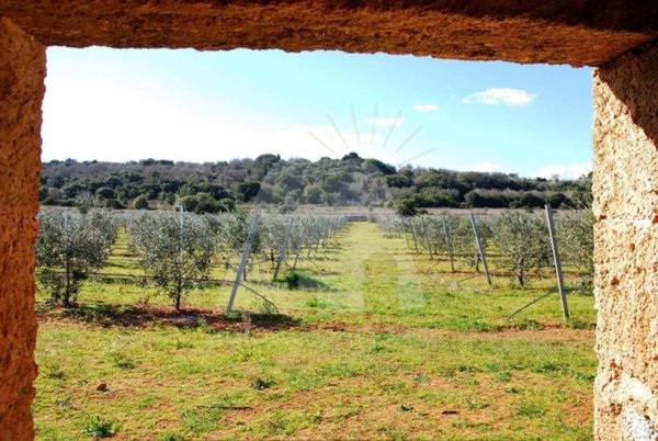 terreno agricolo in vendita a Morciano di Leuca in zona Barbarano del Capo