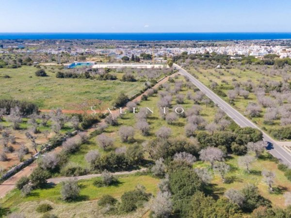 ufficio in vendita a Morciano di Leuca