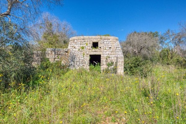terreno agricolo in vendita a Morciano di Leuca