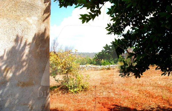 terreno agricolo in vendita a Morciano di Leuca