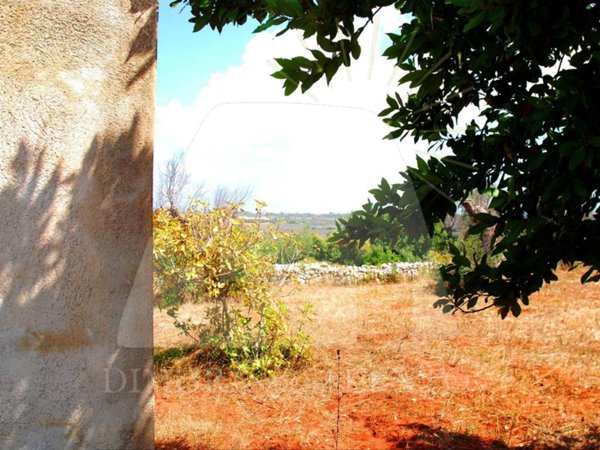 terreno agricolo in vendita a Morciano di Leuca