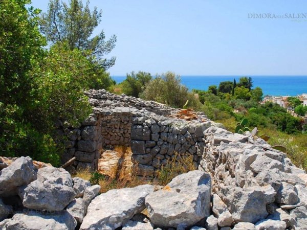 terreno agricolo in vendita a Morciano di Leuca