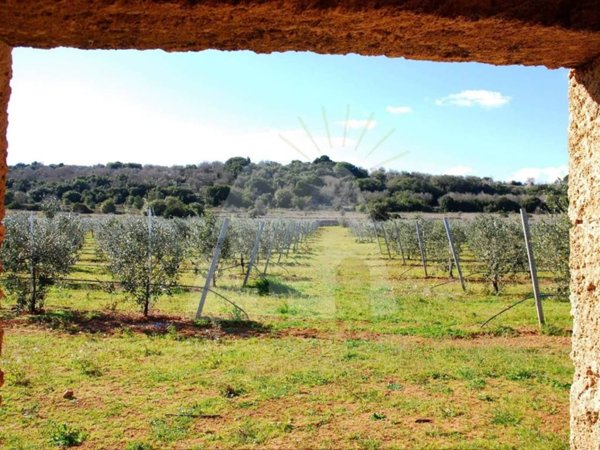 terreno agricolo in vendita a Morciano di Leuca in zona Barbarano del Capo