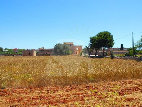terreno agricolo in vendita a Morciano di Leuca in zona Barbarano del Capo