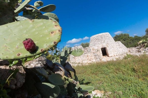 appartamento in vendita a Morciano di Leuca