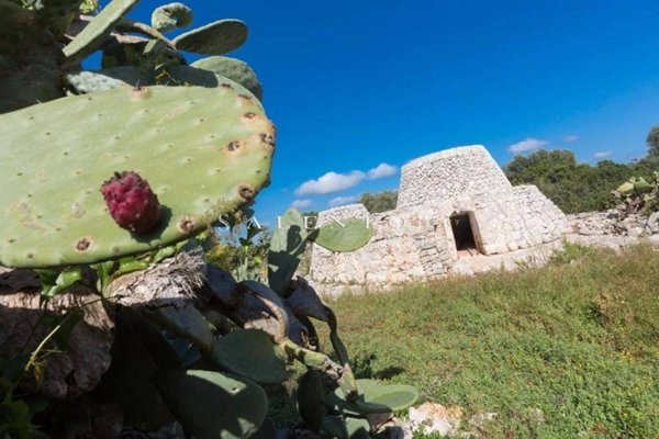 casa indipendente in vendita a Morciano di Leuca