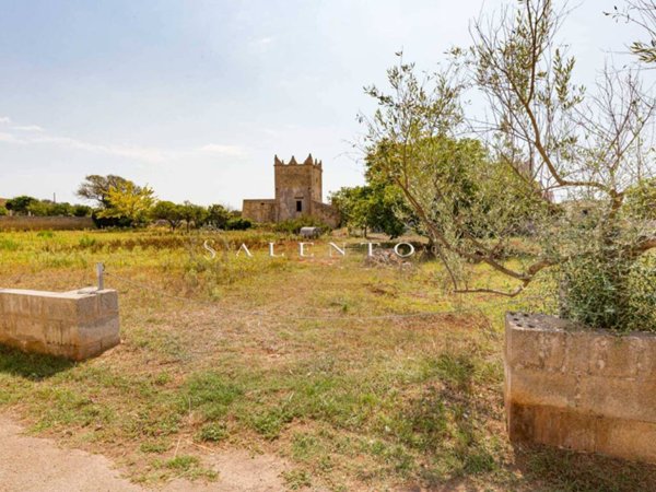 terreno agricolo in vendita a Morciano di Leuca