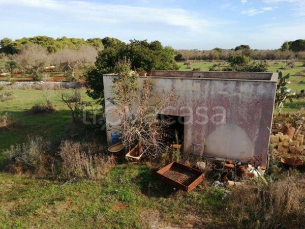 terreno agricolo in vendita a Morciano di Leuca