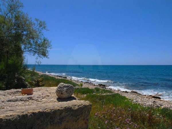 terreno agricolo in vendita a Morciano di Leuca