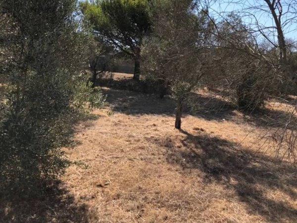 terreno agricolo in vendita a Morciano di Leuca