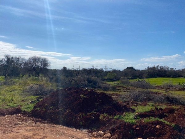casa indipendente in vendita a Morciano di Leuca