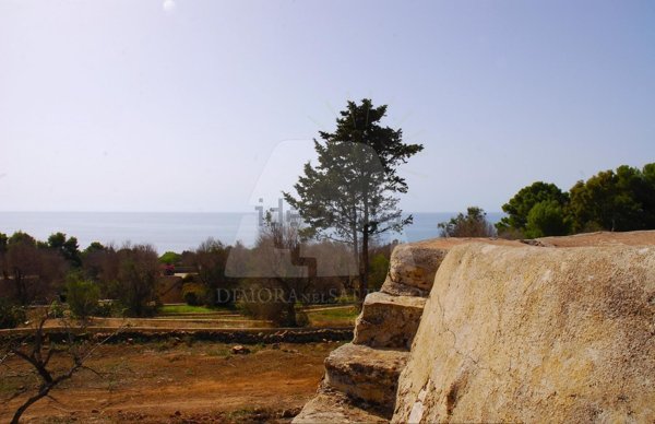 quadrivano in vendita a Morciano di Leuca