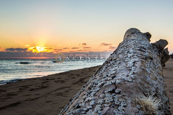 casa indipendente in vendita a Morciano di Leuca